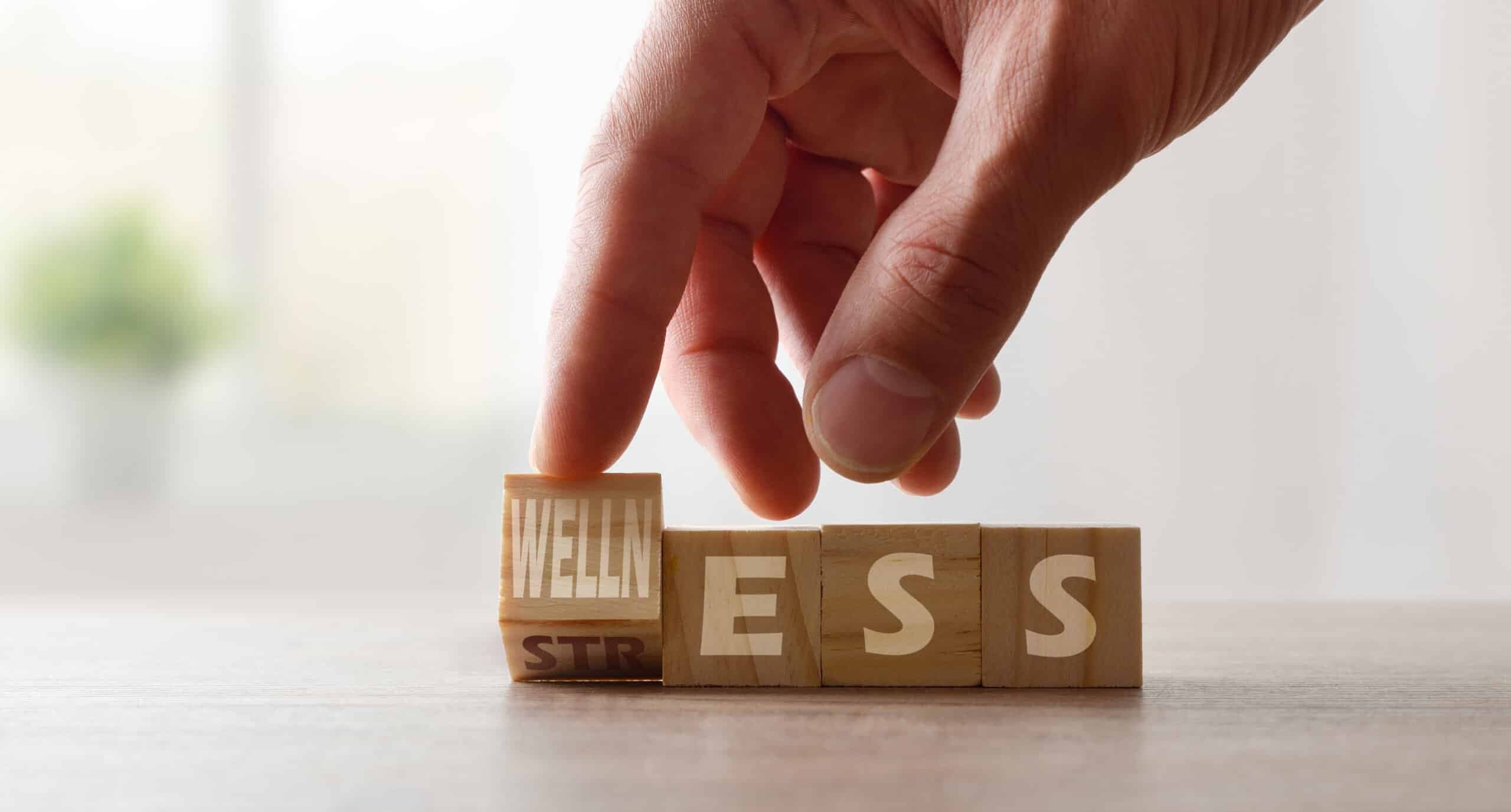 The Effects of Stress on the Body: Understanding the Impact