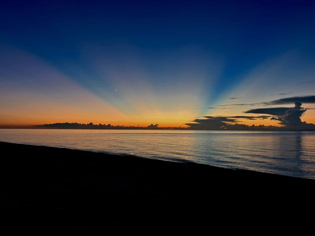 Executive Psychologists: Personalized Support for High-Performing Professionals