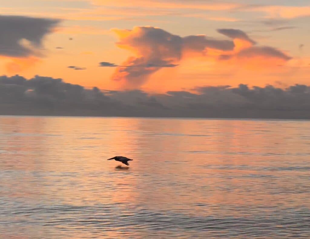 Nurturing Marriage and Relationships Over the Years