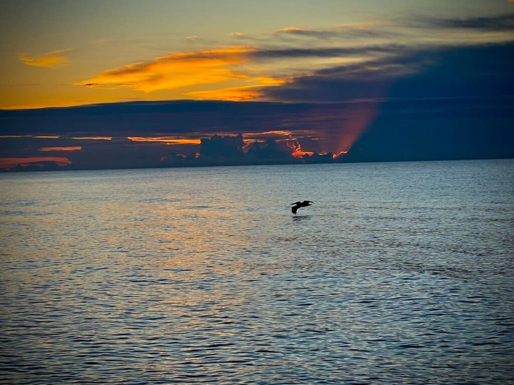 Personal Psychologist for Executives