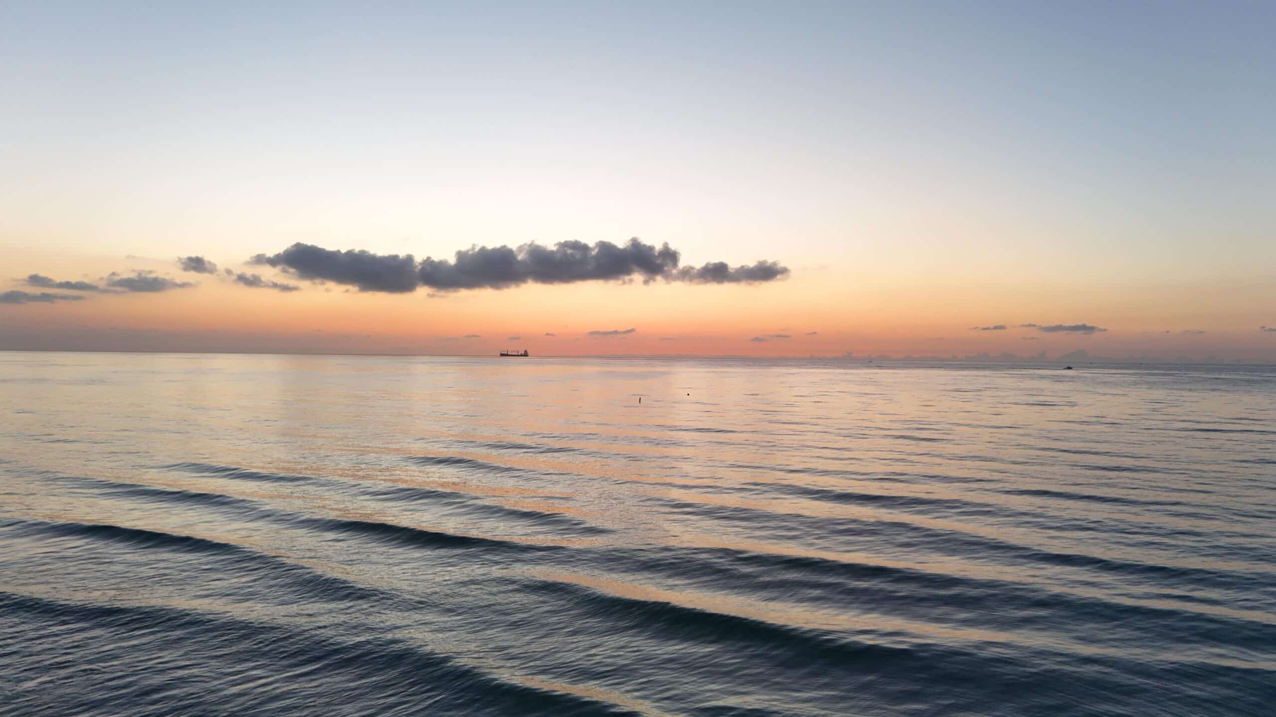 Understanding Trauma and the Power of Therapy