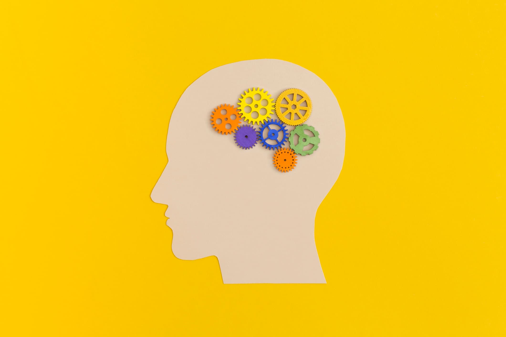 From Survival to Stability: A Guide to Navigating Your Mood Shifts, Depression, Bipolar Disorder, and Beyond